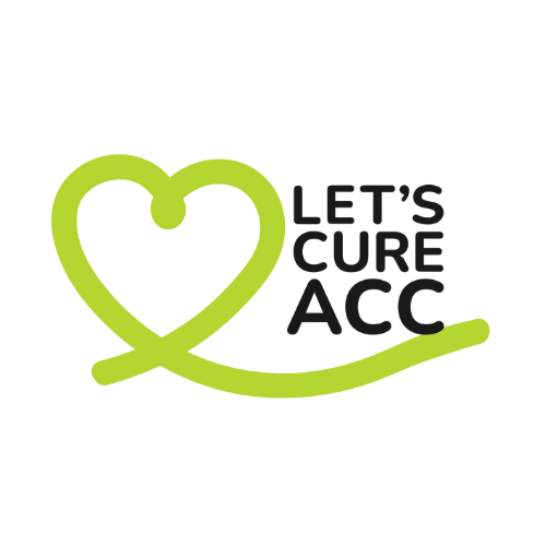 Logo - LCACC